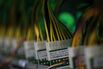 Inside The Bitfarms Cryptocurrency Farming Operation As Miners Flock To Canada