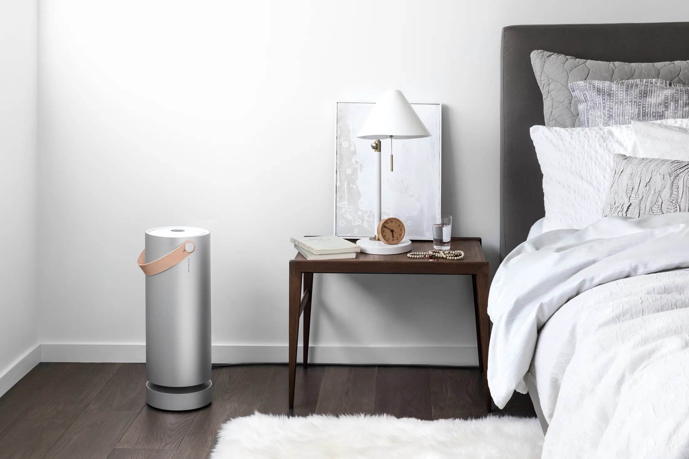 Molekule air purifier