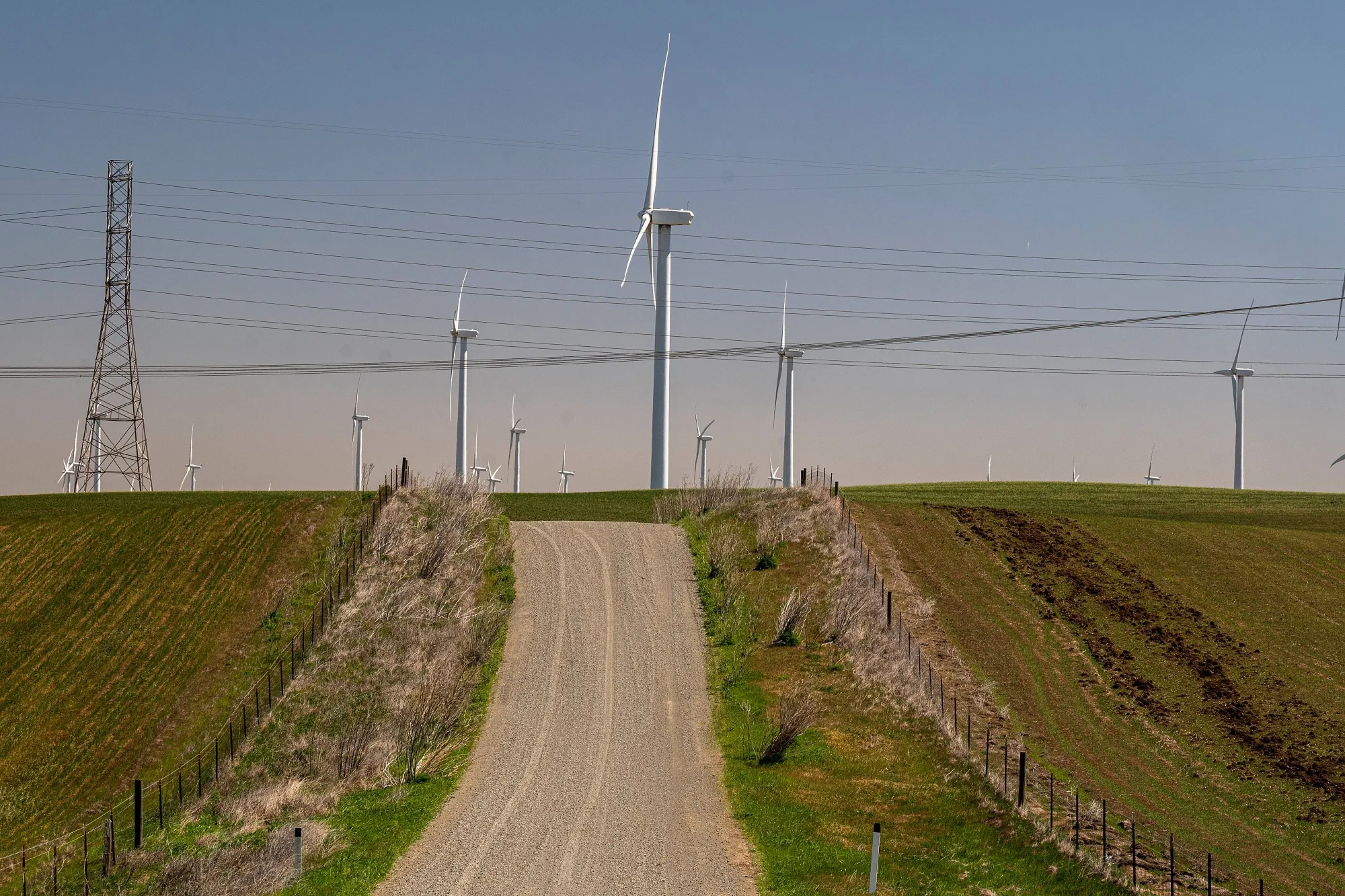 Wind turbines and power transmission lines at a wind&nbsp;farm in Rio Vista, California.