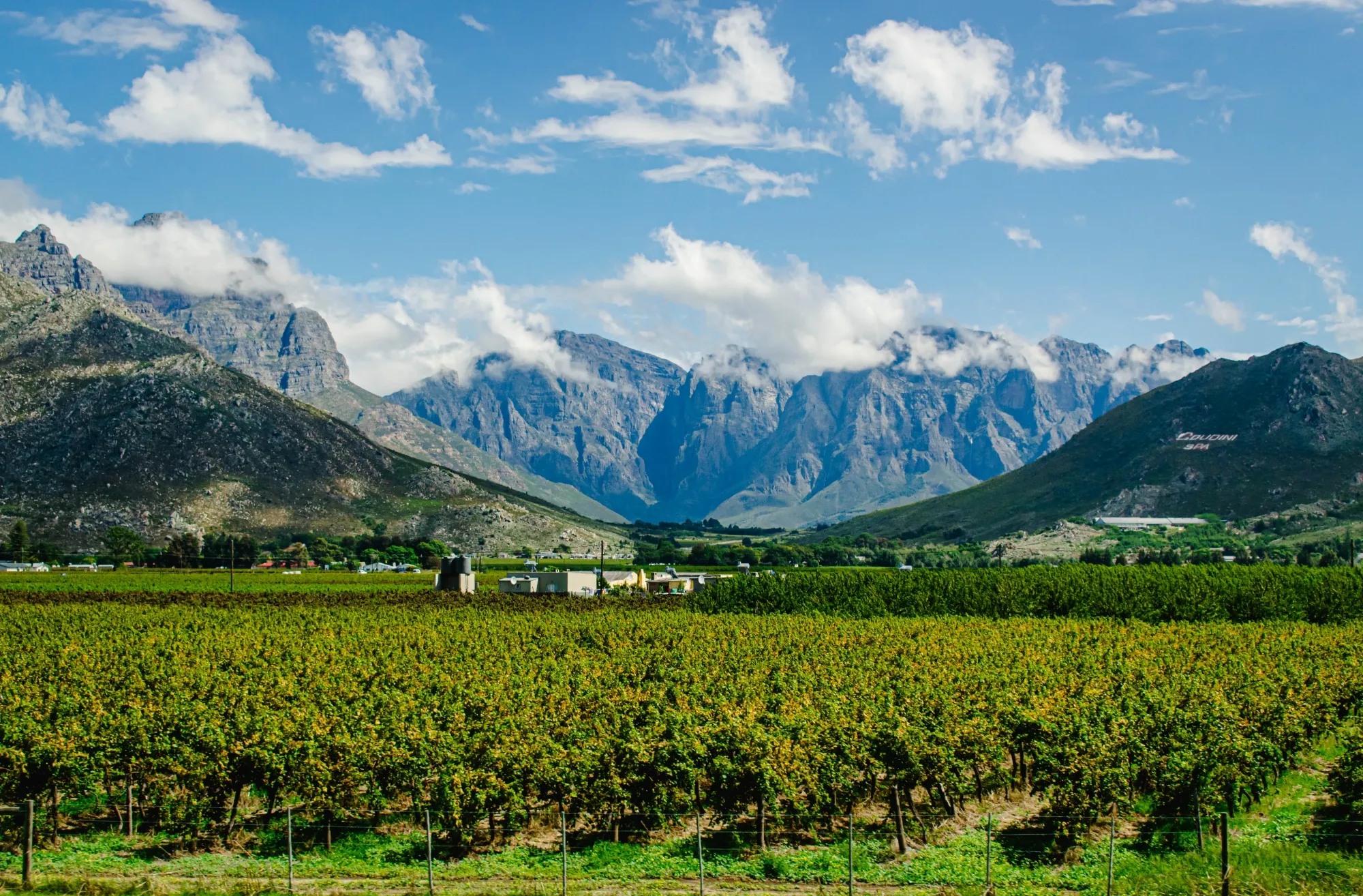 PURSUITS_WEB_TOP SHELF 1231