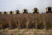 Harvesting of Soya, Corn And Alfalfa at an Al Dahra Agricultural Co. Farm