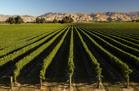 New Zealand's Marlborough Region