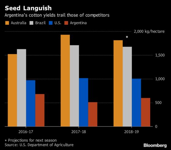 Billionaire's Cotton Dream Languishes in Seed-Royalty Limbo