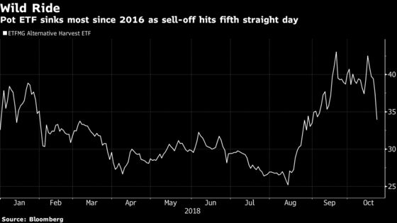Pot Stocks Post Biggest Drop in Two Years as Tilray Tumbles