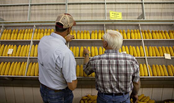 Democrats Claim the Economy Needs Work. Here's a Breakdown of the Early Primary States