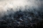 Smoke rises as a fire burns in the Amazon rainforest near Porto Velho, Brazil