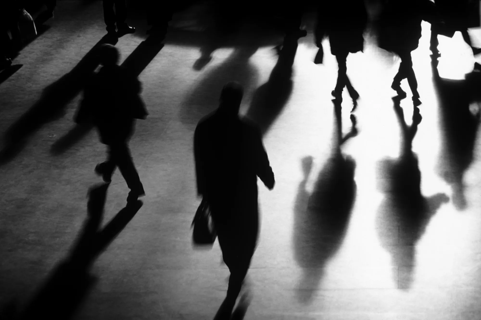 The attacks on DEI professionals are forcing those in the field to rebrand themselves to get contracts, battle over the remaining staff positions and reimagine what the industry will look like going forward.