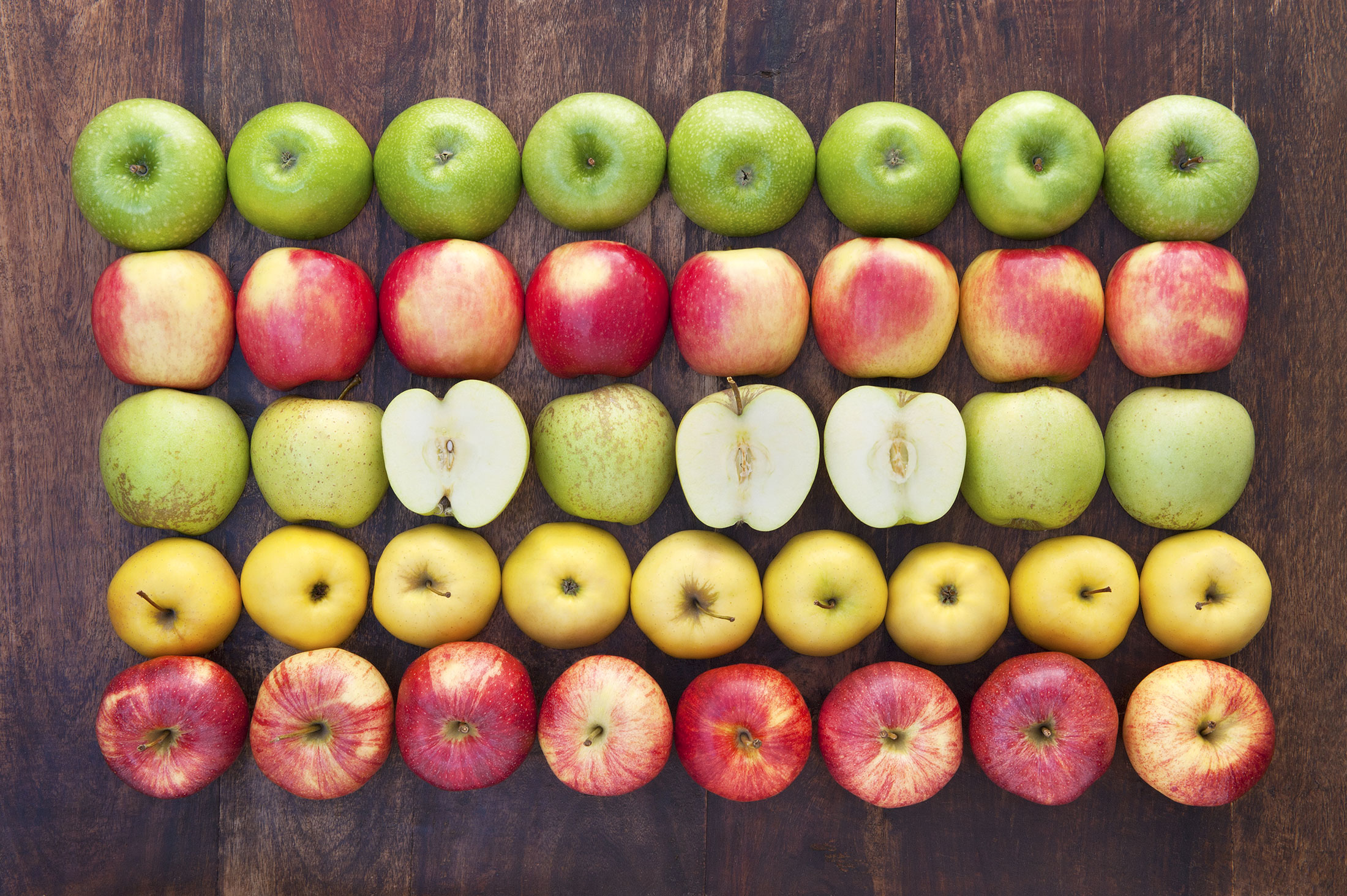 Arctic Apples: A fresh new take on genetic engineering - Science in the News