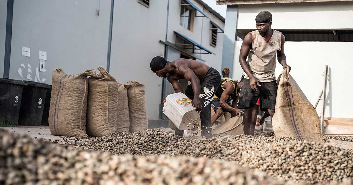 Trump’s Global Trade Chaos Creates an Opportunity for African Farmers
