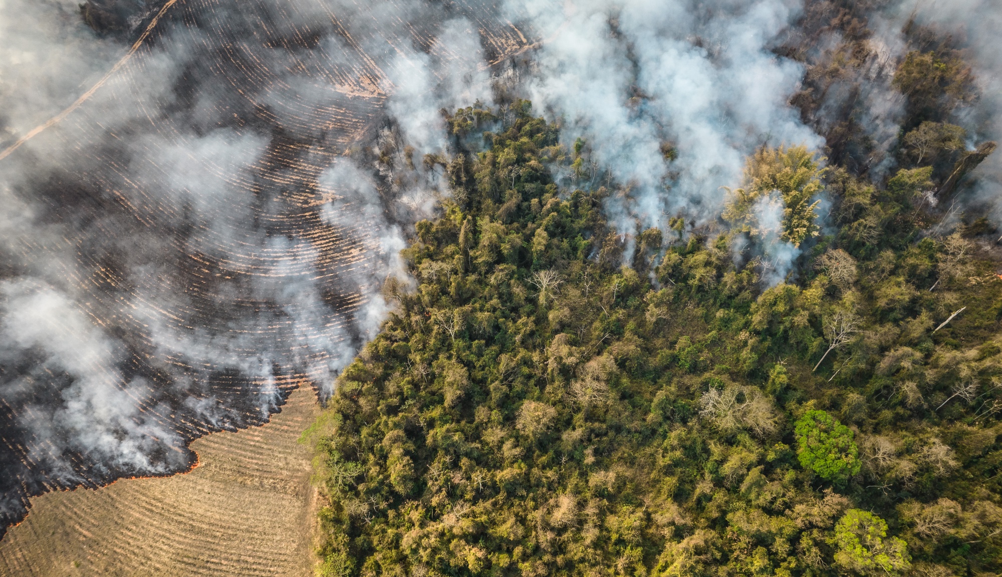 Climate Change in Brazil Fire, Frost, Drought Upends Global Markets