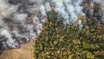 Fires burn on a farm near environmentally protected land in&nbsp;Sao Paulo state on Aug. 24.