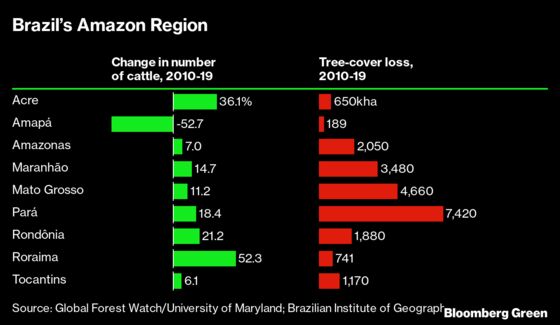 Why It’s So Hard to Stop Amazon Deforestation, Starting With the Beef Industry