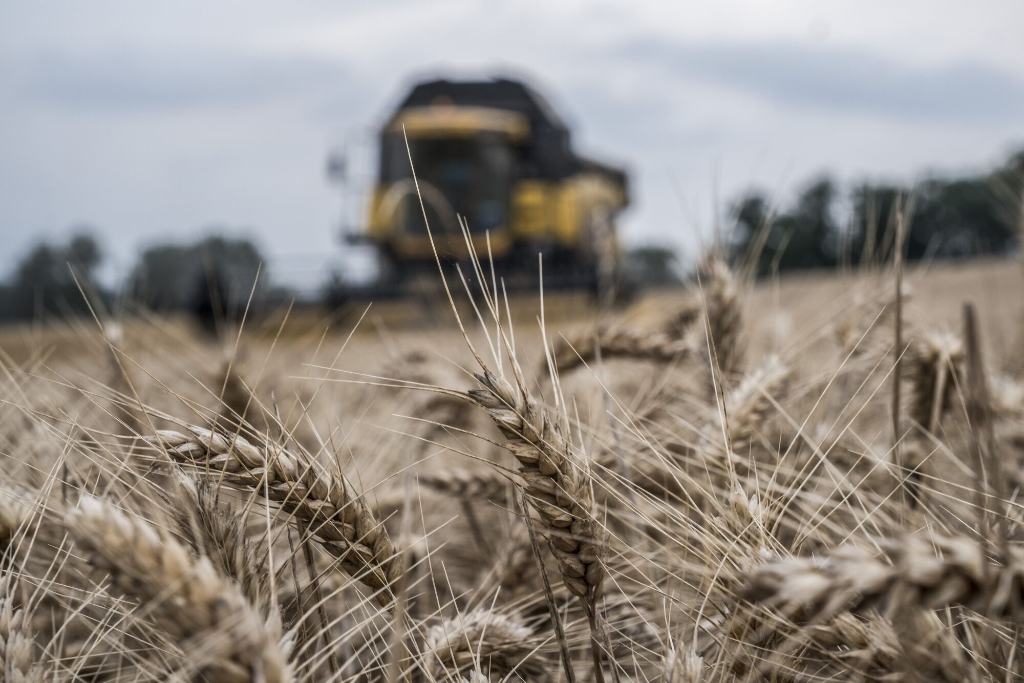 France farmers. Сельскохозяйство Франции. Сельскохозяйственные культуры Франции. Промышленность и сельское хозяйство франыцыя. Растениеводство Франции.