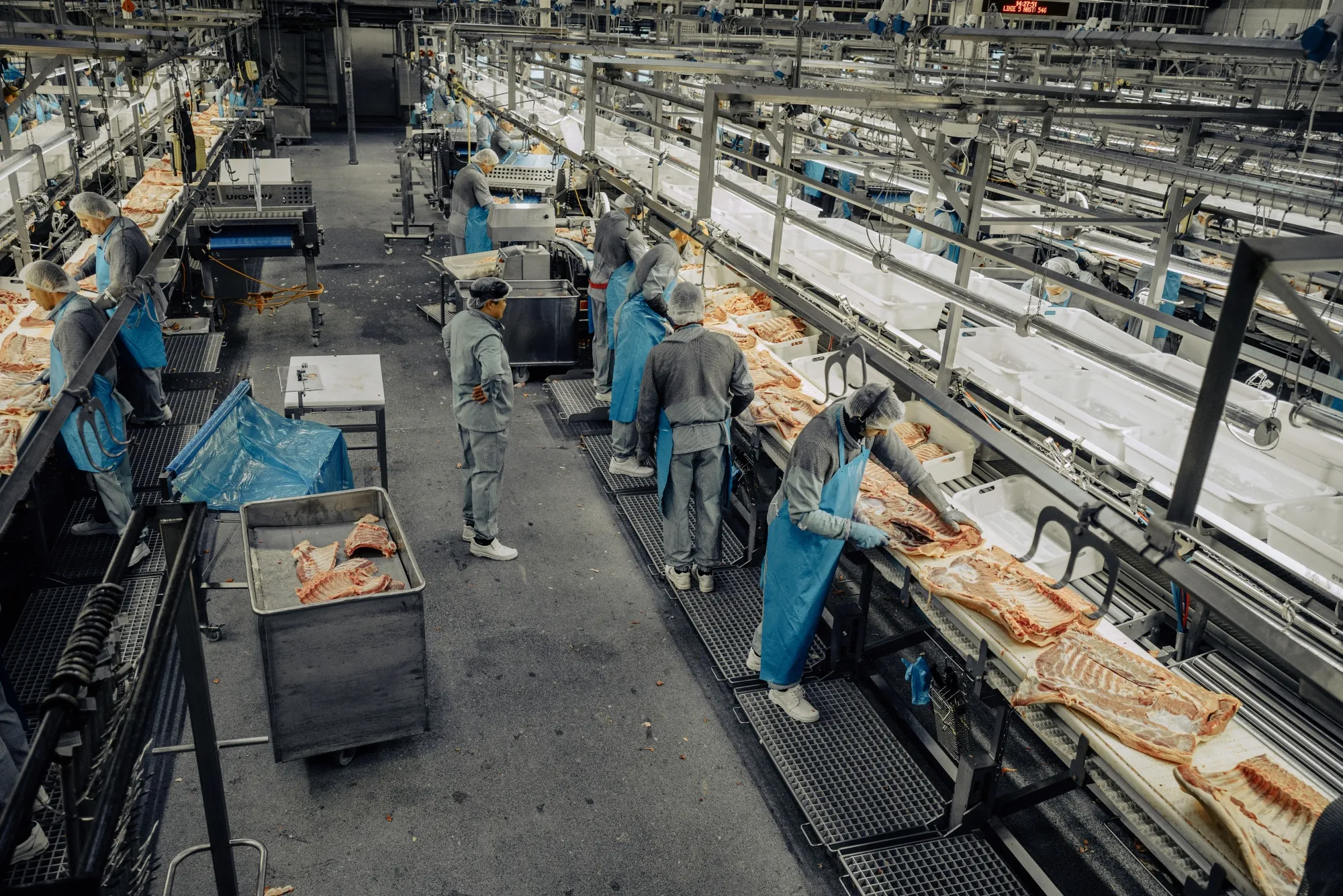 中国、EUからの豚肉輸入で反ダンピング調査－貿易巡り対立激化