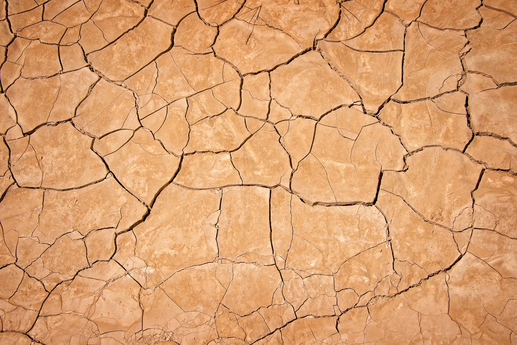 1477595723_desert