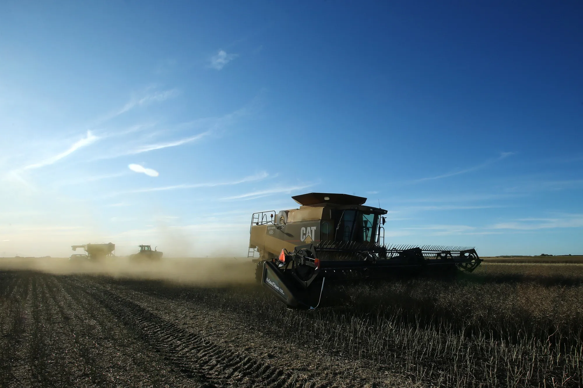 Canada's Canola Inventory Rises to Record as China Shuns Imports