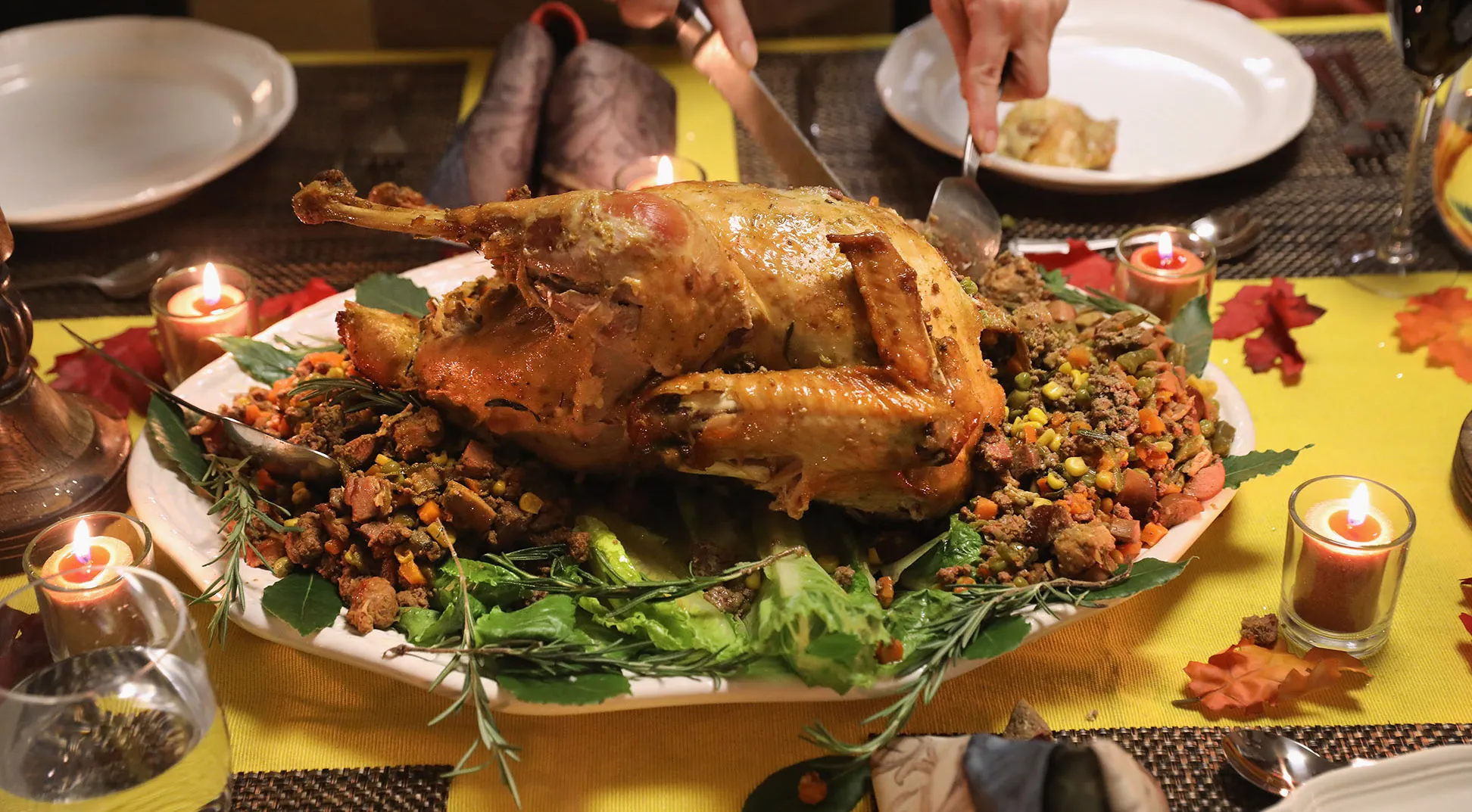 Thanksgiving turkey