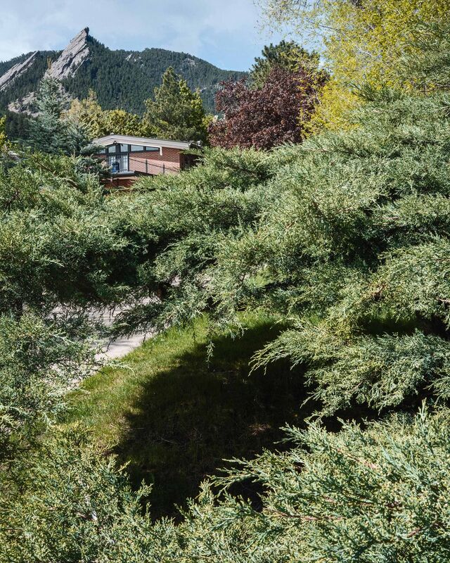 A juniper grove surrounds a house at the base of the foothills in Boulder.