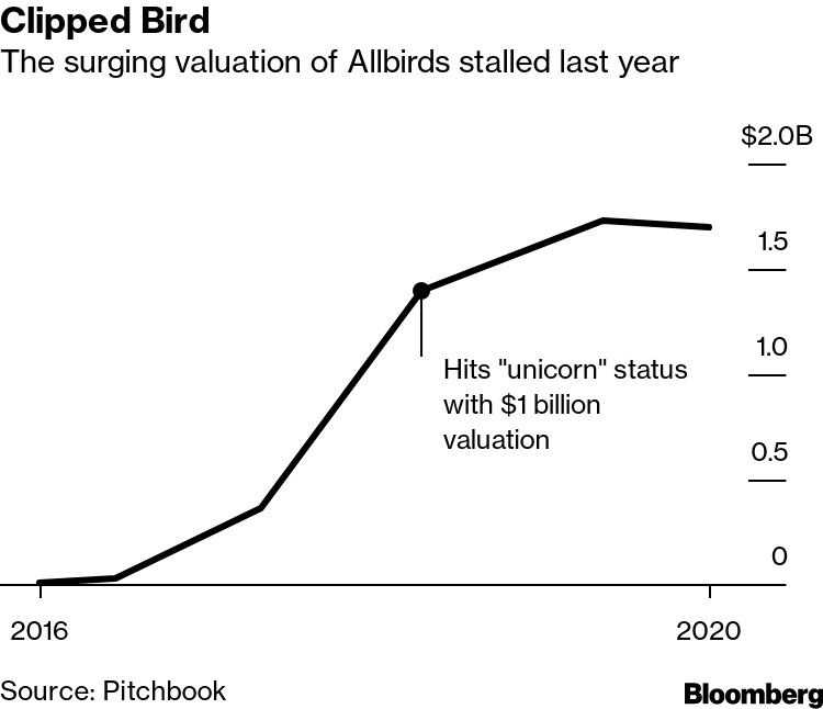 Allbirds bloomberg hot sale