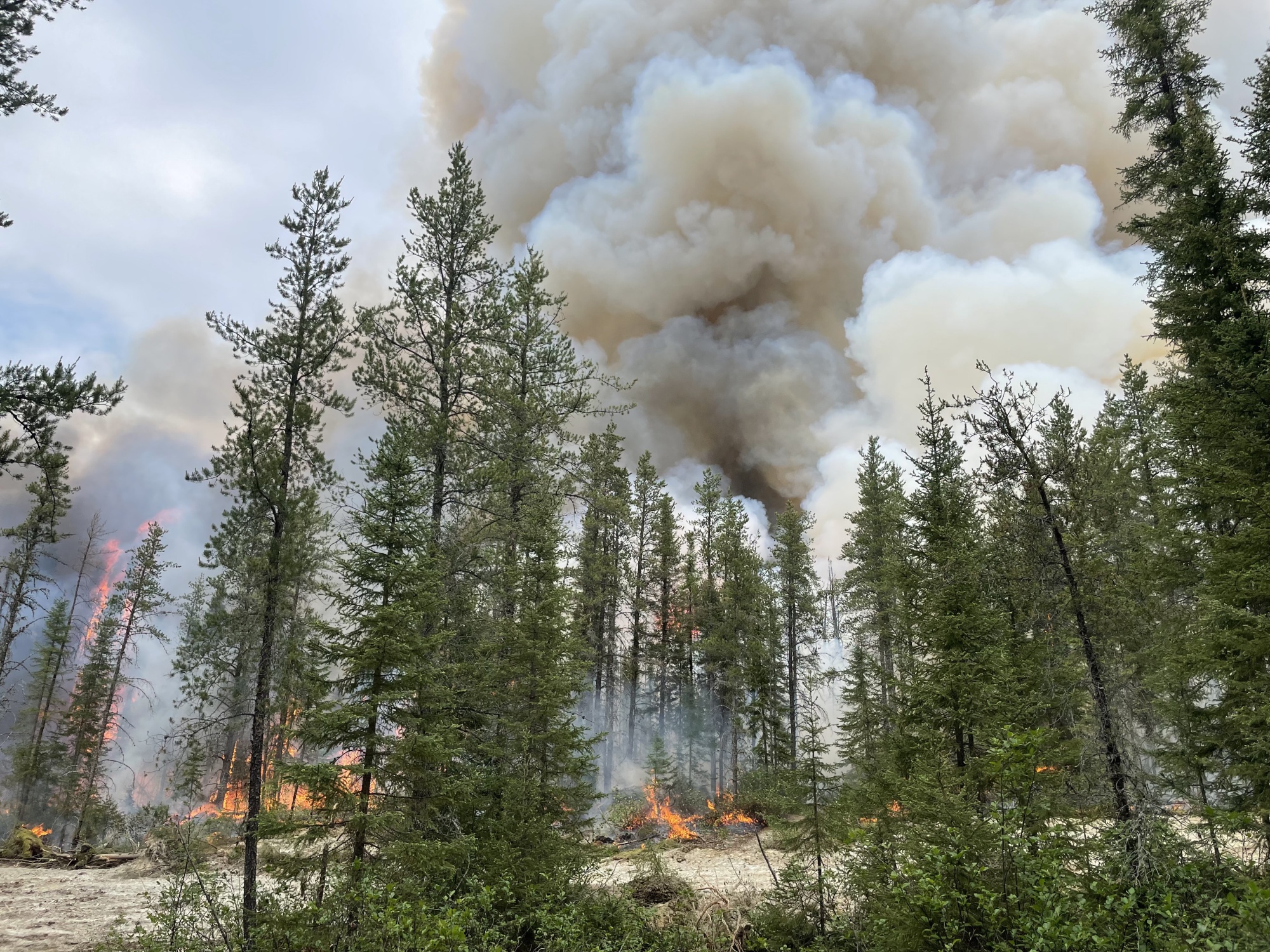 Canada's forest fires could cause Astros issues on road trip