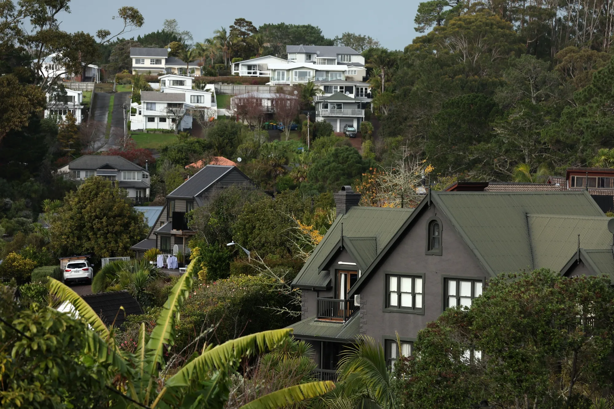 Houses in Auckland, New Zealand.