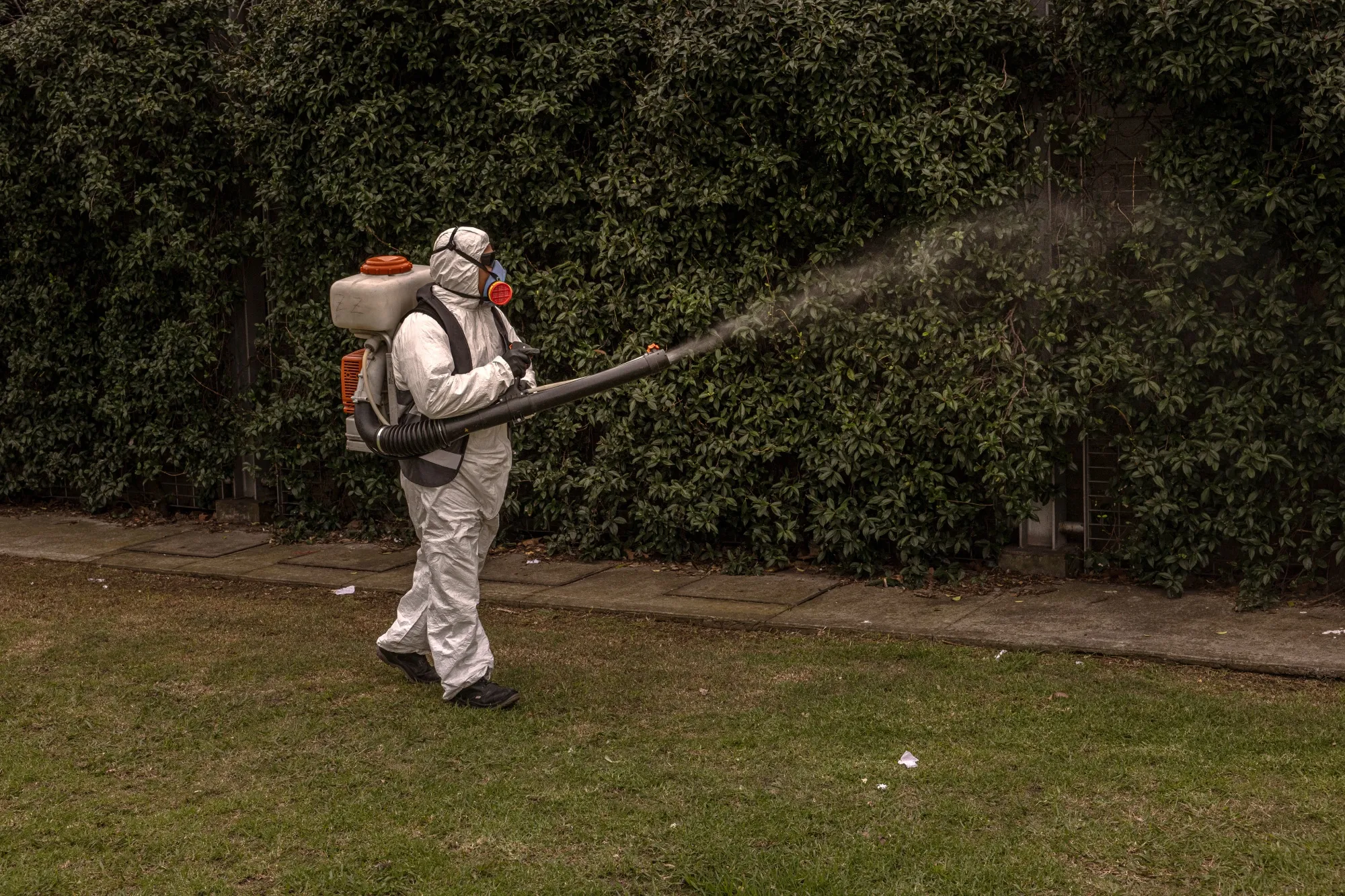 A municipal environment and public space ministry worker fumigates against the dengue virus,&nbsp;a mosquito-borne illness, in Buenos Aires, Argentina last year.