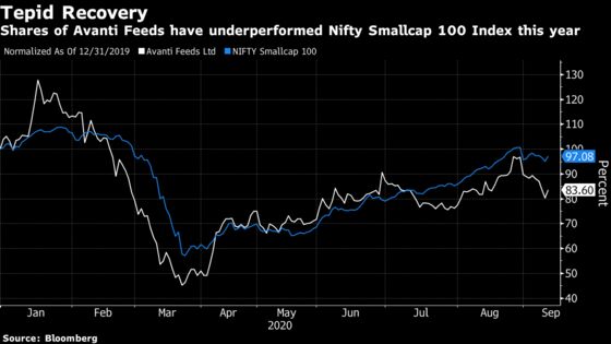 India Seafood Exporter Sees Modi’s ‘Blue Revolution’ Boosting Business