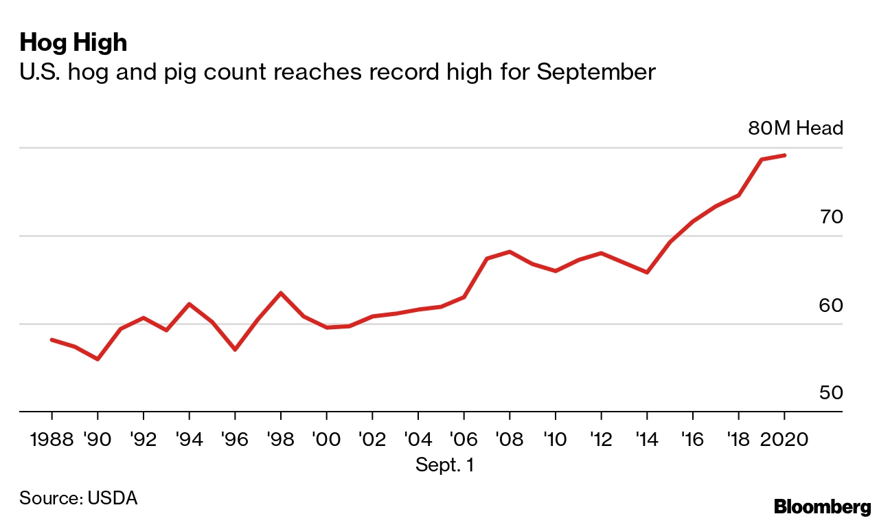 Just How Happy Are the Pigs That End Up at Whole Foods? - Bloomberg