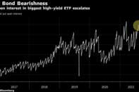 Put open interest in biggest high-yield ETF escalates