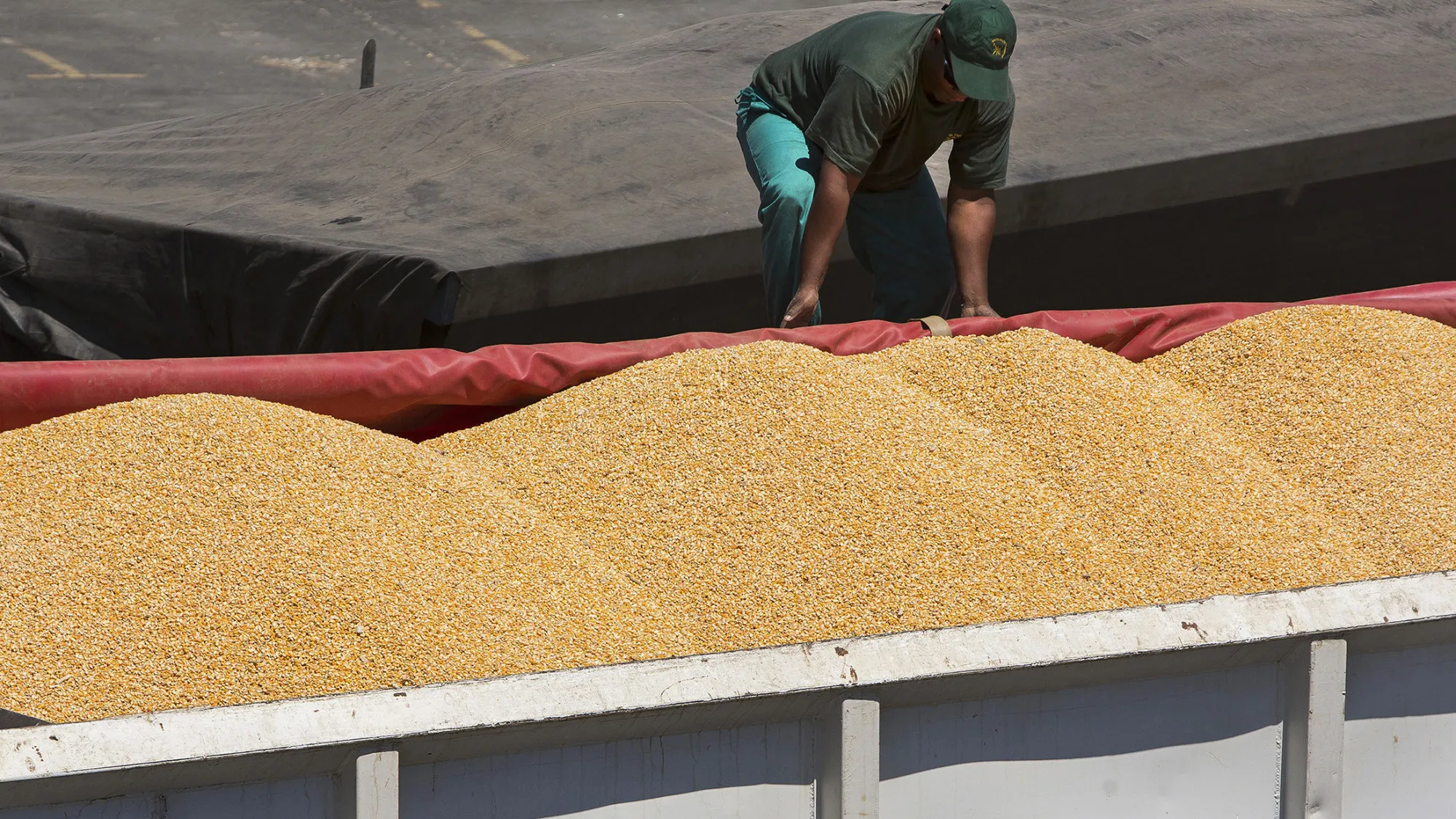 Import Of Corn Supplies At Cape Town Port