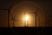 Fund Managers in World’s Greenest Market Struggle With ESG Rules