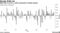 S&P 500 is up for a sixth consecutive trading session