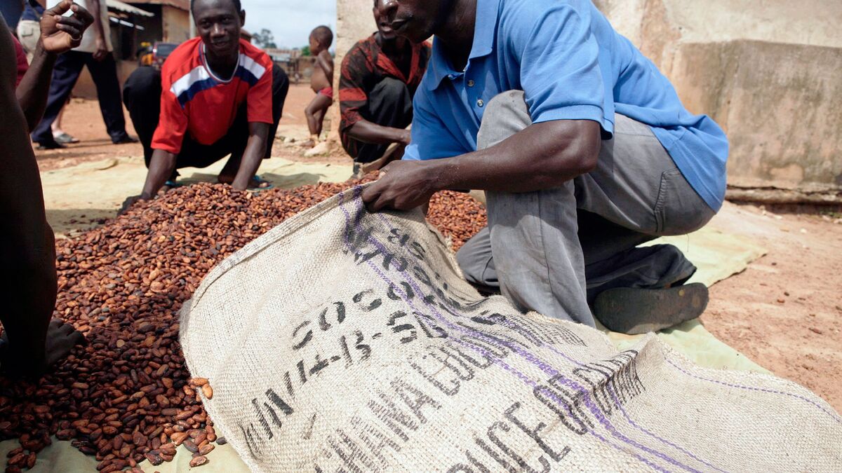 Ghana Orders Security Forces to Clamp Down on Cocoa Smuggling Bloomberg