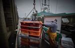  Fishermen unload their catch in Boulogne-sur-Mer. 