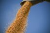 China’s Soy Purchases Hit 12 Million Tons to Meet US Pledge