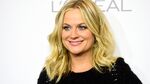 Actress Amy Poehler arrives at ELLE's 21st Annual Women In Hollywood at Four Seasons Hotel Los Angeles at Beverly Hills on October 20, 2014 in Beverly Hills, California.
