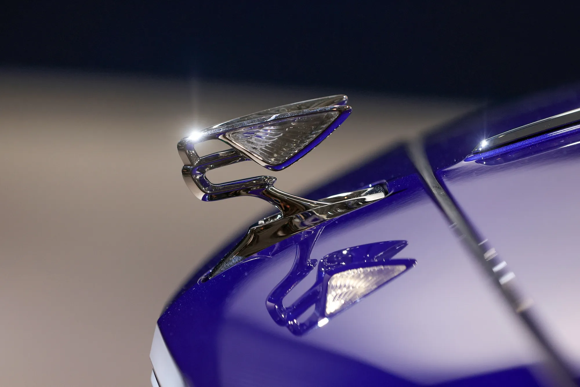 A winged B hood ornament on a Bentley Flying Spur limousine&nbsp;at Volkswagen’s&nbsp;annual meeting last year in Berlin.