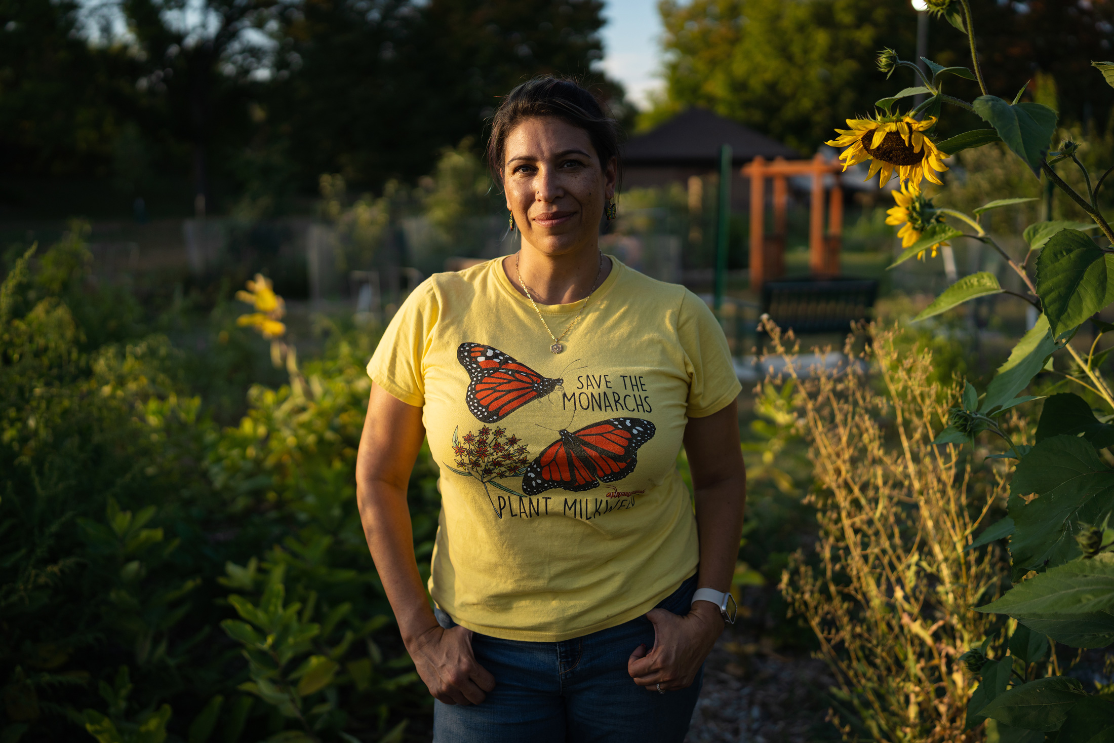 Minnesota group uses artificial intelligence to aid monarch butterflies