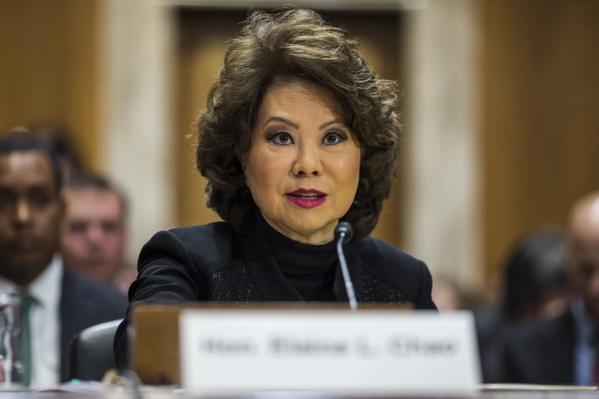 Elaine Chao