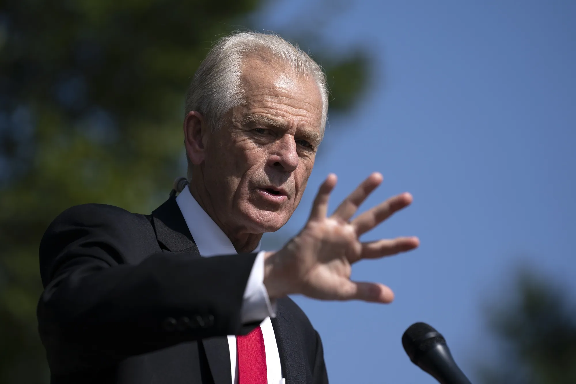 Peter Navarro