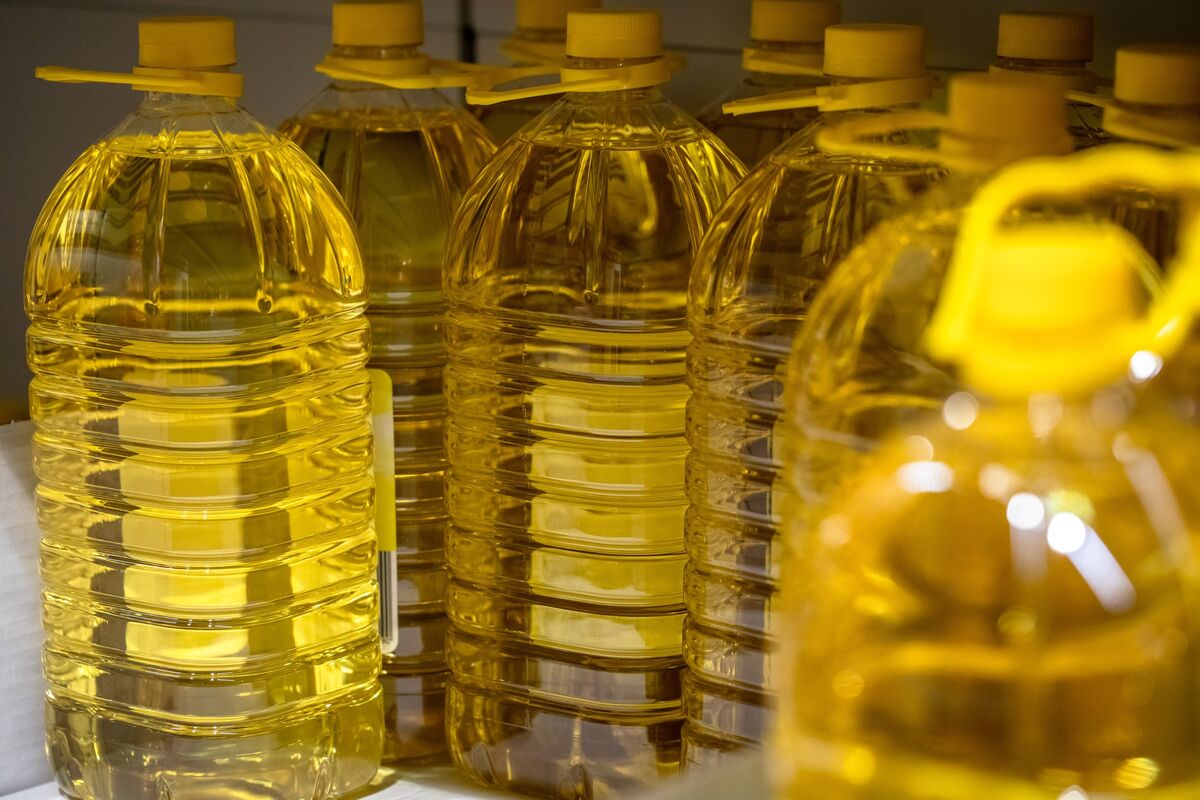 Sunflower Oil Prices Surge in Europe After Dry Summer