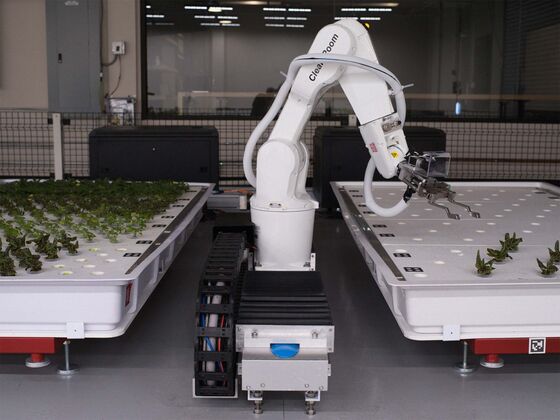 Lettuce-Farming Robots Might Grow Your Next Salad