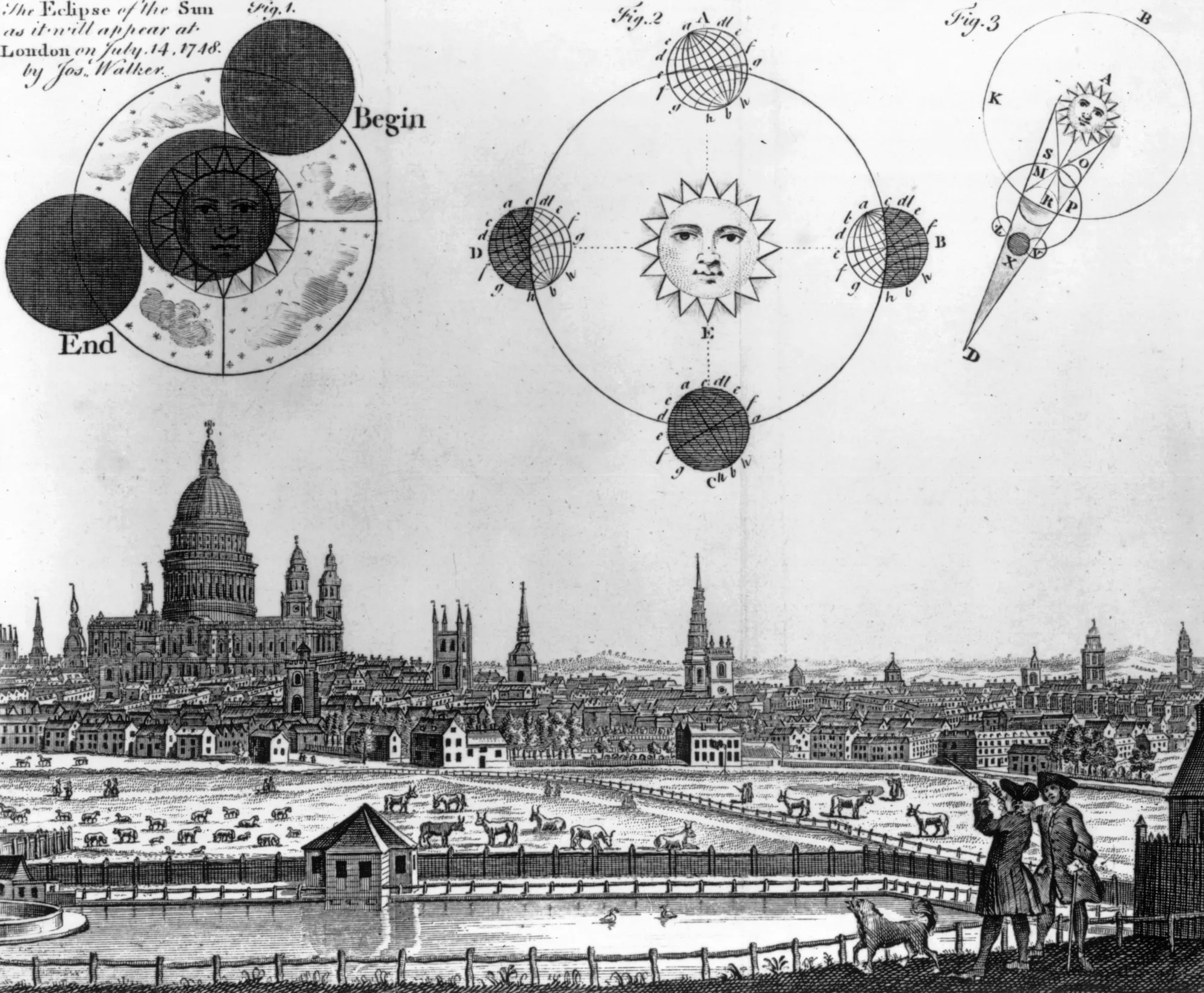 Eighteenth-century eclipse culture.
