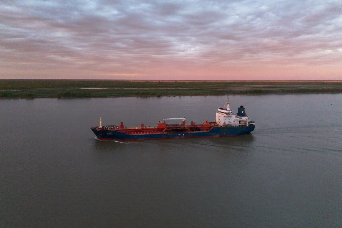 Milei’s 48-Hour Tariff Pause Spurs Record Surge in Crop Exports