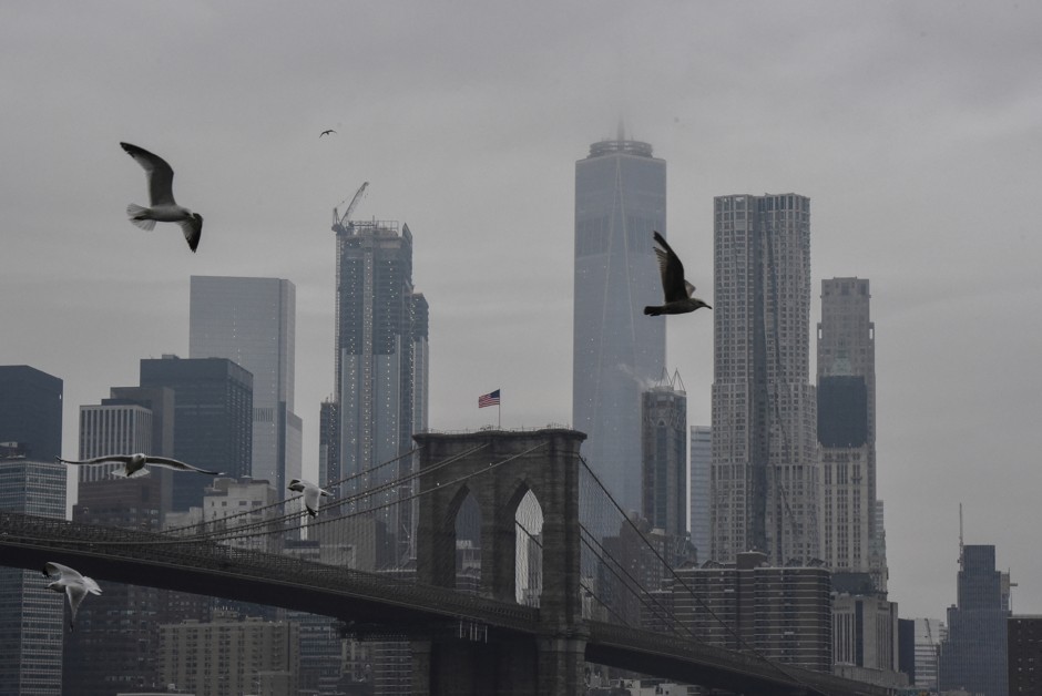 Birds fly in front of the Lower Manhattan skyline on a cloudy day.