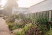 Having Your Own Greenhouse May Seem Idyllic. The Reality? Not So Much