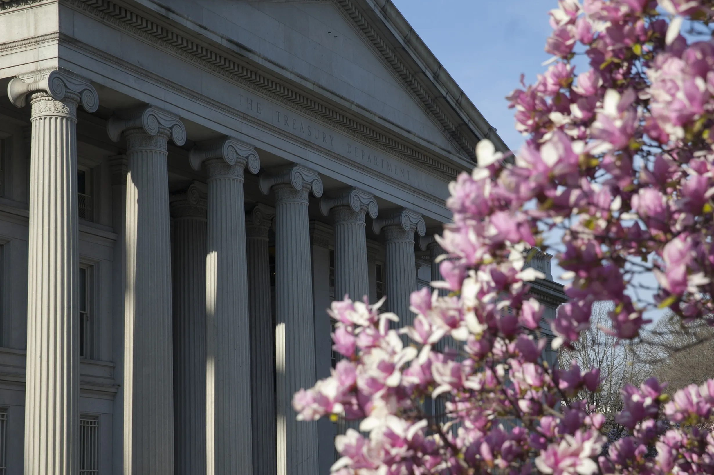 The U.S. Treasury stands behind a flowering magnolia tree in Washington, D.C.