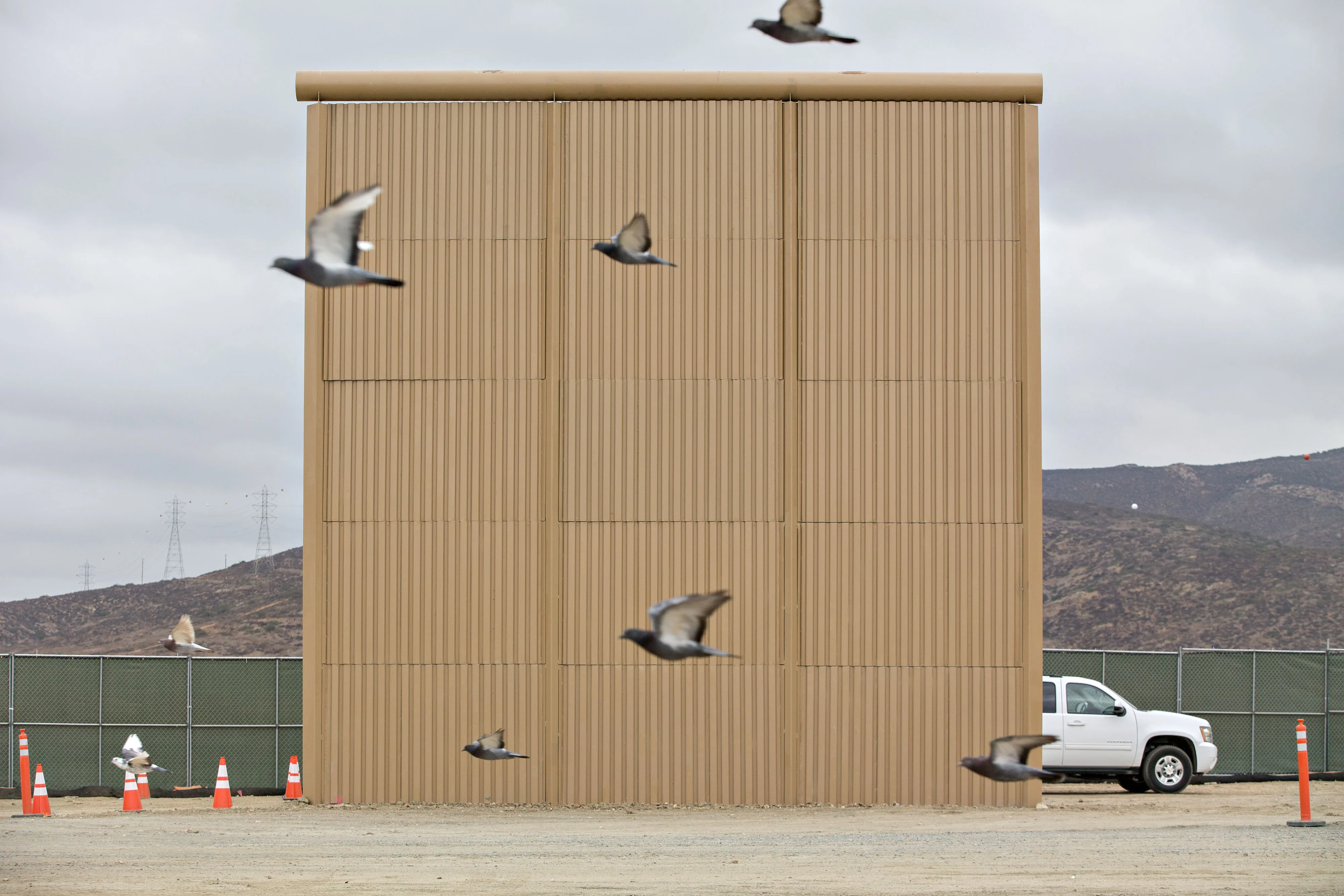 Pigeons fly near a prototype section of a U.S.-Mexico border wall in San Diego, California, U.S.