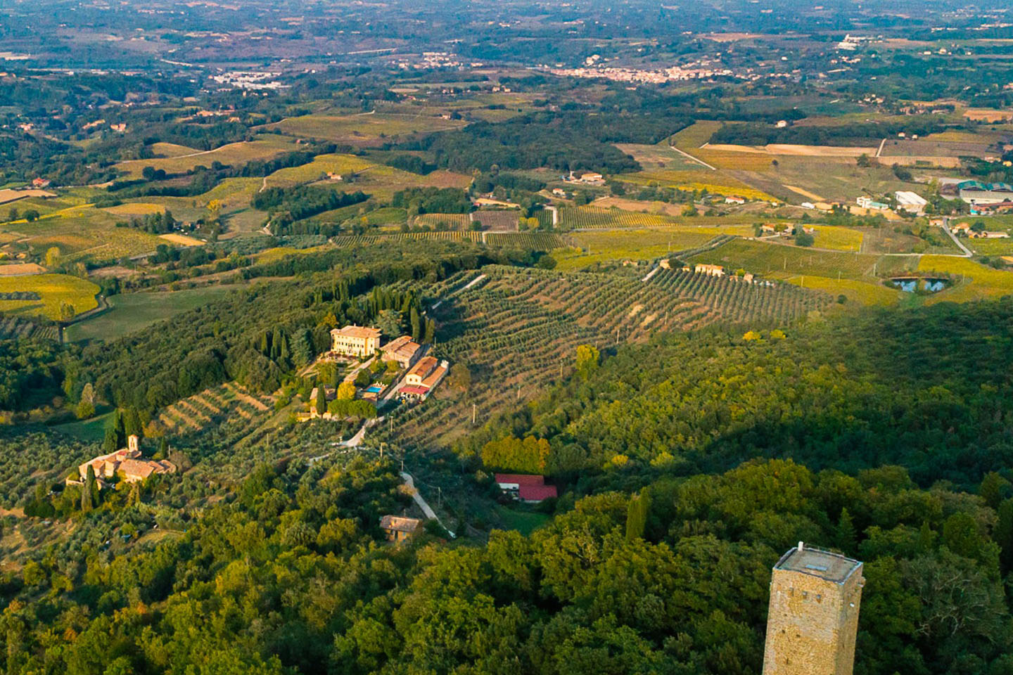 Best White Wines from Italy Premium Sauvignon Blanc, Chardonnay