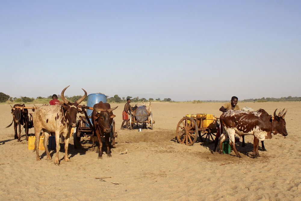 Men dig for water in the dry Mandrare river bed in Fenoaivo, Madagascar, in Nov. 2020.